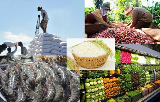 IFC: 5 lĩnh vực sẽ tạo ra khác biệt cho tăng trưởng kinh tế Việt Nam nếu có sự xuất hiện của doanh nghiệp tư nhân - Ảnh 3.