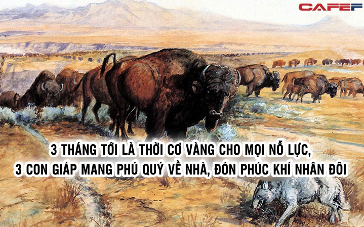 3 tháng tới là thời cơ vàng cho mọi nỗ lực, 3 con giáp mang phú quý về nhà, đón phúc khí nhân đôi