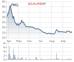 Petro Miền Trung (PMG) lỗ thêm gần 44 tỷ đồng sau báo cáo kiểm toán bán niên 2021 - Ảnh 2.