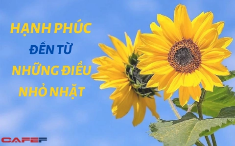 20 việc ĐH Harvard khuyên nên làm để tận hưởng hạnh phúc: Bắt đầu năm Nhâm Dần bằng nụ cười, cả năm nhất định tỏa sáng, tài lộc tự nhiên tìm tới