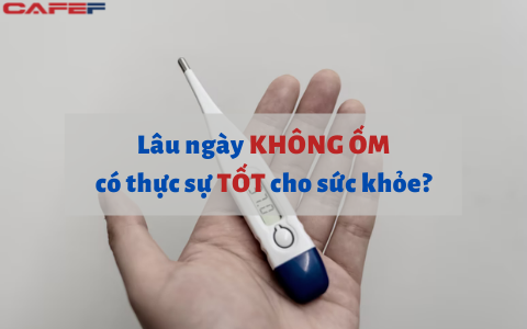 Lâu ngày không ốm vặt chưa chắc đã tốt: Thi thoảng xuất hiện 4 triệu chứng dưới đây càng có lợi cho sức khỏe