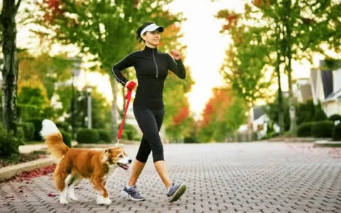 Đi bộ nhanh hay chậm thì giúp kéo dài tuổi thọ tốt hơn? Bác sĩ chuyên khoa xương khớp chỉ ra cách để đi bộ 8.000 bước mỗi ngày mà không đau đầu gối - Ảnh 3.