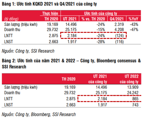 PV Power (POW) lý giải nguyên nhân kết quả kinh doanh đi lùi trong năm 2021 - Ảnh 1.