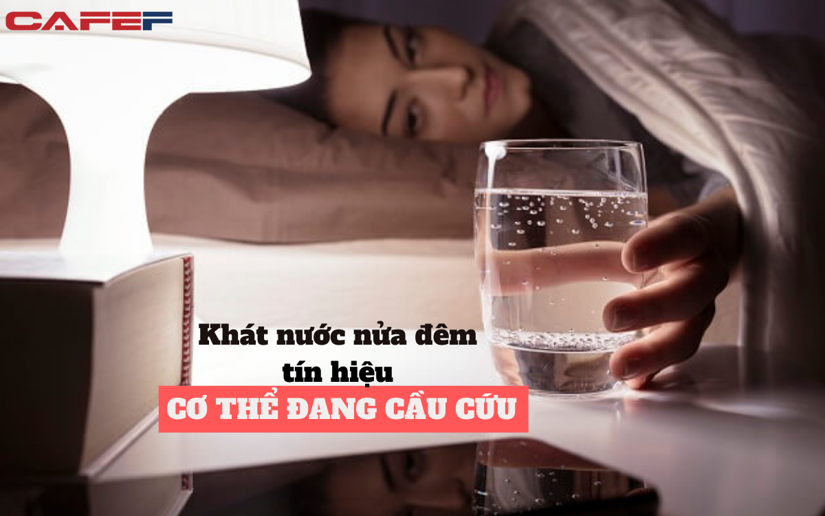 Nửa đêm tỉnh giấc thấy miệng đắng ngắt và khát nước không rõ lý do chớ xem thường mà bỏ qua: Rất có thể gan đang cầu cứu, bệnh tiểu đường "nhăm nhe" đến gần