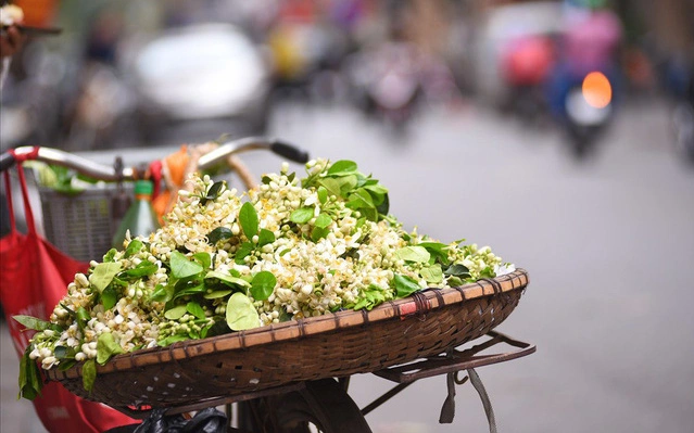 Hoa bưởi đầu mùa xuống phố giá lên tới 300.000 đồng/kg, vẫn hút khách Hà Nội