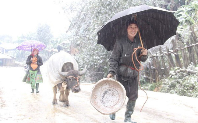 Mùng 3 Tết miền Bắc tiếp tục giảm nhiệt, rét tê tái vùng núi cao có nơi dưới 3 độ