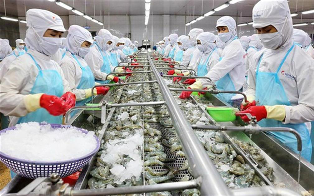 Xuất khẩu tháng 1/2022 tăng 44% - ngành thủy sản khởi sắc trở lại?