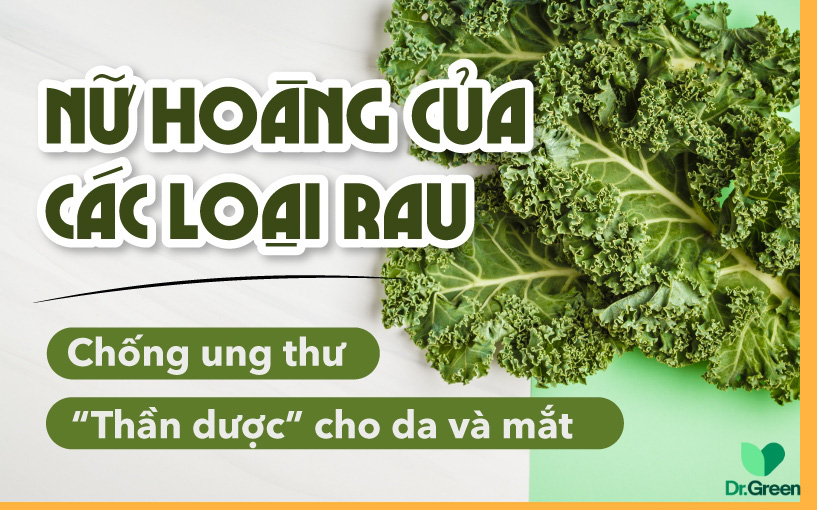 Loại thực phẩm được mệnh danh "nữ hoàng", không chỉ là KẺ THÙ ung thư, còn như “thần dược” cho da và mắt