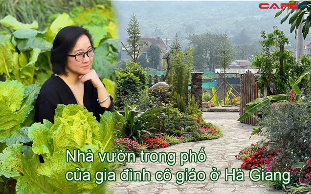 Nhà vườn trong phố của gia đình cô giáo ở Hà Giang: Dồn tâm huyết cho mảnh vườn, cùng chồng và các con sống gần gũi với thiên nhiên