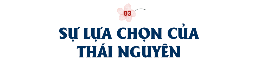 Nữ Bí thư chuyển đổi số và hình ảnh mới của tỉnh được mệnh danh là ‘xứ Trà’ - Ảnh 10.