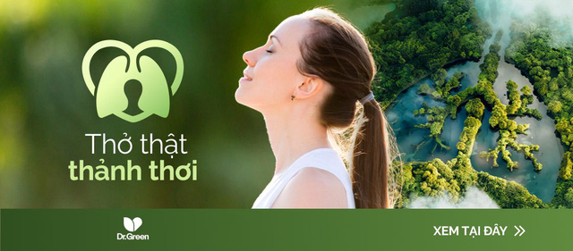 Táo đỏ là “thần dược” bổ phổi, kết hợp thêm 2 thứ giúp thải độc, dưỡng tim mạch, F0 khỏi bệnh nên bồi bổ ngay hậu Covid - Ảnh 4.