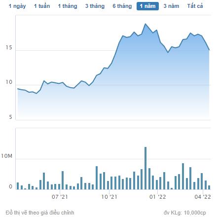 EVN Finance (EVF) thông qua phương án phát hành gần 27 triệu cổ phiếu trả cổ tức - Ảnh 1.