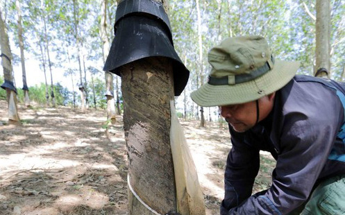 Công ty mẹ PHR: Ghi nhận tiền đền bù KCN VSIP 3, báo lãi quý 1/2022 cao gấp 11 lần cùng kỳ