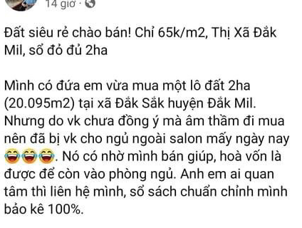 Những pha sáng tạo rao bán nhà gây sốc của môi giới bất động sản - Ảnh 3.