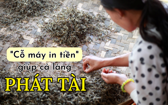 Hy hữu: Cả làng PHÁT TÀI sau 1 đêm, nhà ai sở hữu "cỗ máy in tiền" này thì đếm bạc mỏi tay