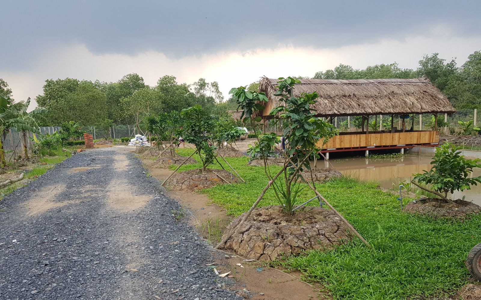 Giá đất tăng phi mã, người thành phố về quê “săn” đất vườn làm farmstay