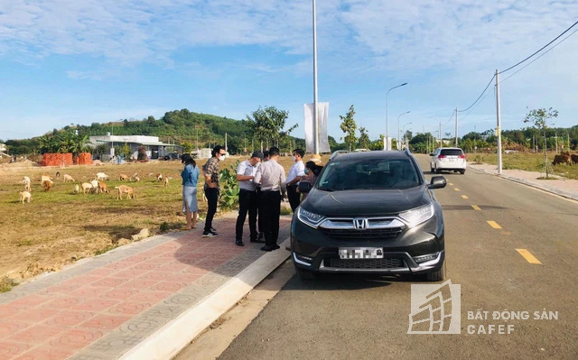 Thị trường nhà đất đang biến động như thế nào?