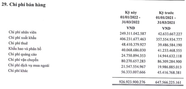 Hoa Sen Group (HSG) lợi nhuận sau thuế quý 2 niên độ tài chính đạt 234 tỷ đồng, 6 tháng hoàn thành 58% kế hoạch năm - Ảnh 1.