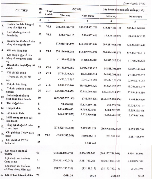 Sau rà soát, nông dược HAI lỗ hơn 670 tỷ đồng thay vì 1,5 tỷ đồng trong quý 4 năm 2021 - Ảnh 1.