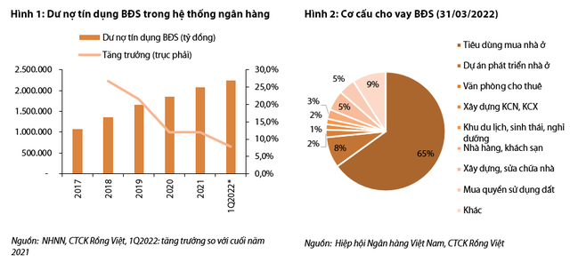 Cảnh báo những huệ lụy từ việc siết tín dụng bất động sản và bài học nhãn tiền từ các quốc gia trong khu vực - Ảnh 1.