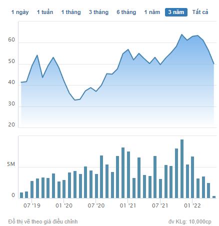 D2D chốt quyền chi trả cổ tức đợt 2/2021 bằng tiền tỷ lệ 35% - Ảnh 1.