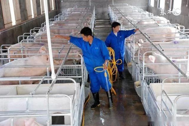 Quyết tâm thoát nghèo từ trang trại 22 con lợn, kĩ sư nông nghiệp biến chuồng lợn thành công ty trị giá gần 18 tỷ USD, lọt danh sách tỷ phú thế giới - Ảnh 2.