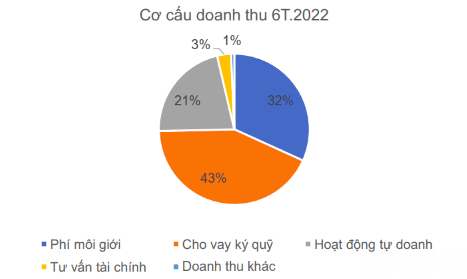 Chứng khoán HSC: Giảm đáng kể giá trị tự doanh, nửa đầu năm lợi nhuận giảm 7% còn 702 tỷ đồng - Ảnh 2.