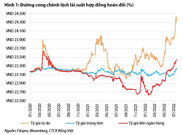 VDSC: Nhu cầu ngoại tệ thị trường vẫn lớn, NHNN mới bán giao ngay hơn 1,4 tỷ USD - Ảnh 1.