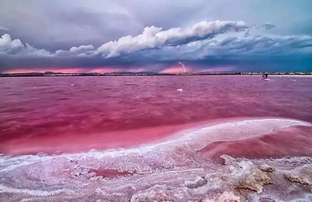 Chiêm ngưỡng 4 hồ nước màu hồng tuyệt đẹp hiếm có trên thế giới, để thấy hóa ra thiên nhiên cũng có trái tim lãng mạn - Ảnh 3.