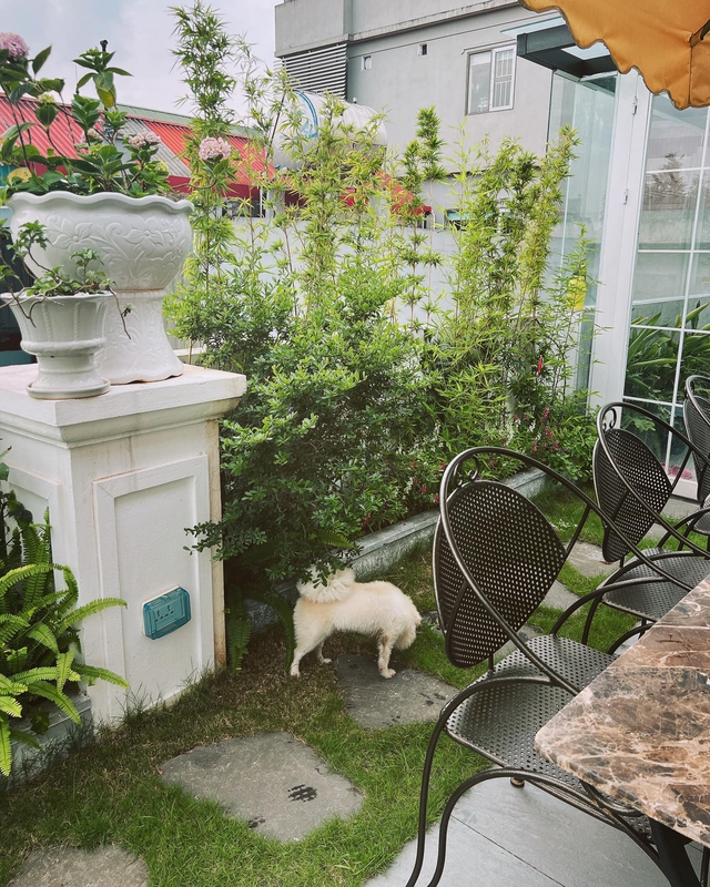Cô gái trẻ nỗ lực lập nghiệp, thành công sở hữu ngôi nhà riêng 65m2 đầy thanh bình - Ảnh 3.