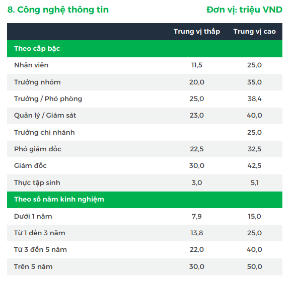 Hé lộ mức lương ngành CNTT, IT phần mềm: Có vị trí lên đến hơn 140 triệu đồng/tháng - Ảnh 2.