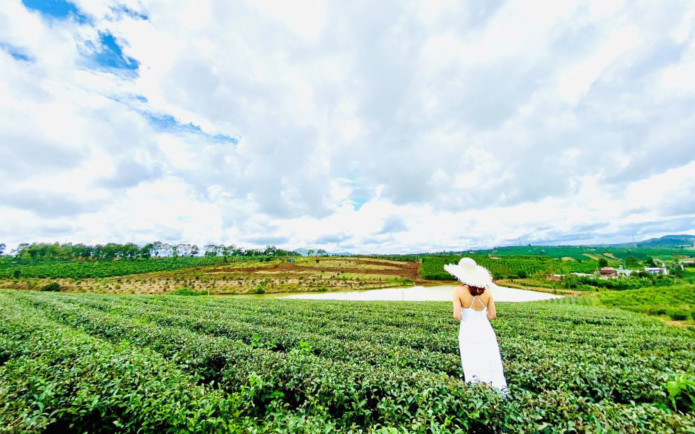 Di Linh - Thiên đường lý tưởng để làm "ngôi nhà thứ hai"