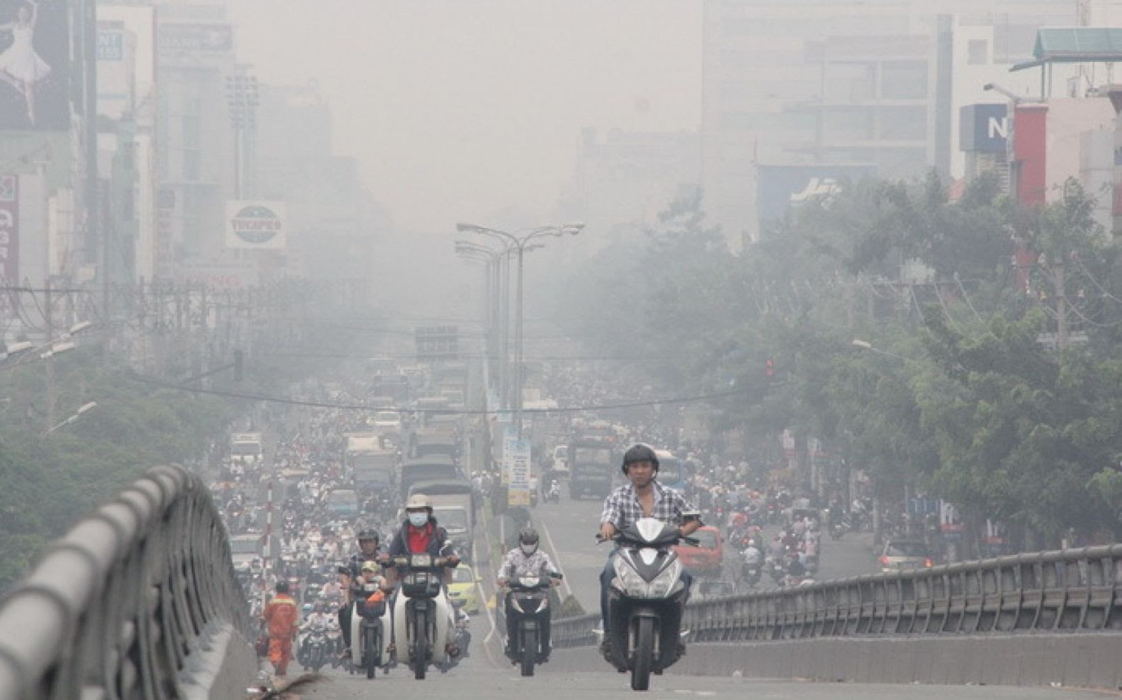 Lung Cleanser- Hỗ trợ giải độc phổi hoàn toàn từ thảo dược thiên nhiên