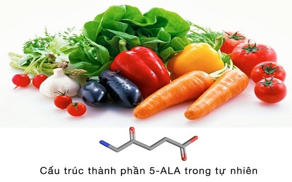 ALA-Bio: Hơn 20 năm nghiên cứu về hỗ trợ điều trị tiểu đường