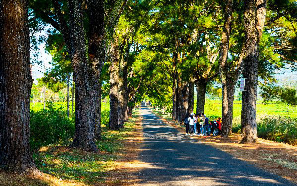 Làn gió mới tại đại ngàn Tây Nguyên: Golden Light Mang Yang Town