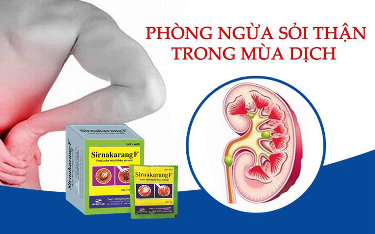 Phòng ngừa sỏi thận trong mùa dịch