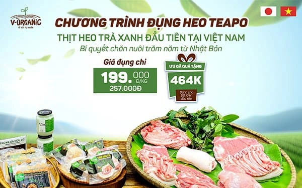 Dinh dưỡng từ thịt heo trà xanh Teapo, bí quyết chăn nuôi trăm năm từ Nhật Bản