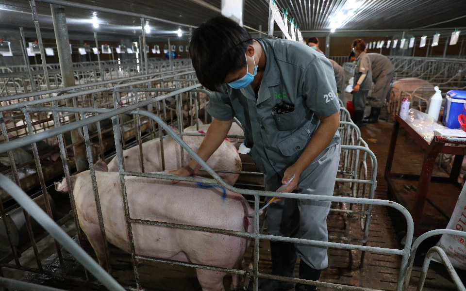 BAF - Lợi nhuận sau kiểm toán 2021 tăng gấp 7 lần 2020