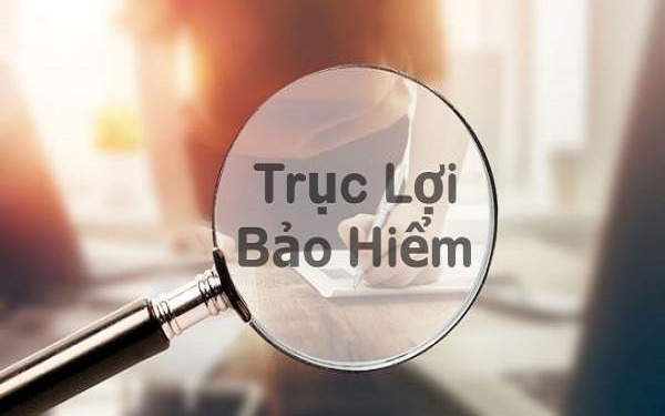 Trục lợi bảo hiểm, các doanh nghiệp trong cảnh “sống chung với lũ”