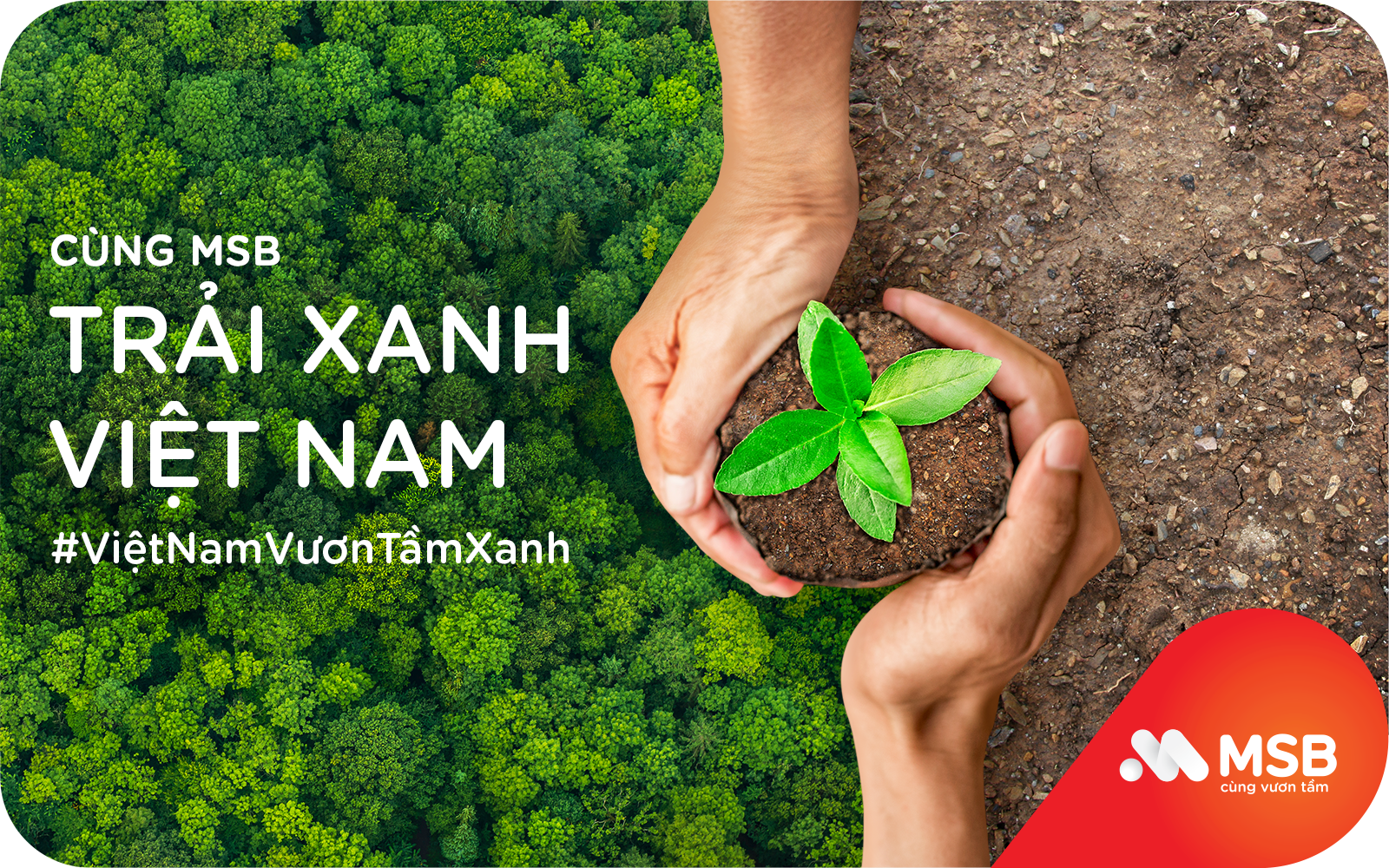 MSB và hành trình trải xanh Việt Nam