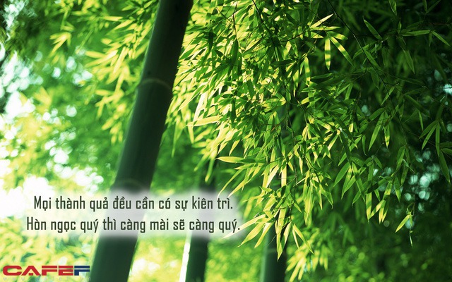Định luật cây tre đơn giản mà 90% số đông không làm được: 10 năm giấu tài vì 1 phút phát huy - Ảnh 1.