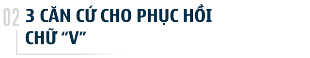 Chuyên gia Kinh tế trưởng ADB: Phục hồi kinh tế Việt Nam vào năm 2021 sẽ theo hình chữ V và có khả năng sẽ rất mạnh - Ảnh 3.