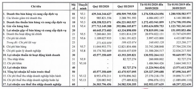 Bao bì nhựa Tân Tiến (TTP): 9 tháng lãi 103 tỷ đồng tăng 51% so với cùng kỳ 2019 - Ảnh 1.