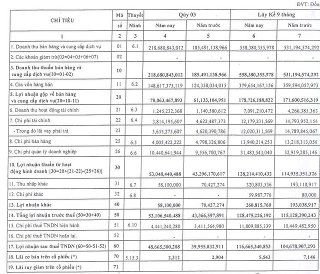 Cảng Đồng Nai (PDN) báo lãi 9 tháng đạt gần 117 tỷ đồng, hoàn thành 81% kế hoạch cả năm - Ảnh 1.