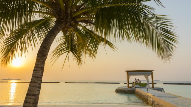 Vượt khó mùa Covid-19, quốc đảo Maldives tạo ra dịch vụ giãn cách xã hội sang chảnh như thiên đường để hút khách - Ảnh 5.