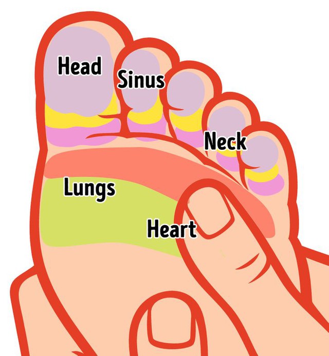 Tự chăm sóc cơ thể bằng cách xoa bóp bàn chân đơn giản để hưởng đủ lợi ích cho sức khỏe: Giảm đau cột sống, điều hòa huyết áp và đặc biệt giúp ngủ ngon - Ảnh 5.