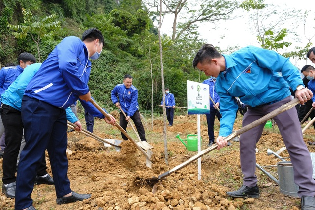 Vinamilk hoàn thành mục tiêu trồng hơn 1,1 triệu cây xanh cho Việt Nam trong năm 2020 - Ảnh 1.