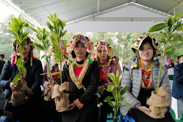 Vinamilk hoàn thành mục tiêu trồng hơn 1,1 triệu cây xanh cho Việt Nam trong năm 2020 - Ảnh 4.