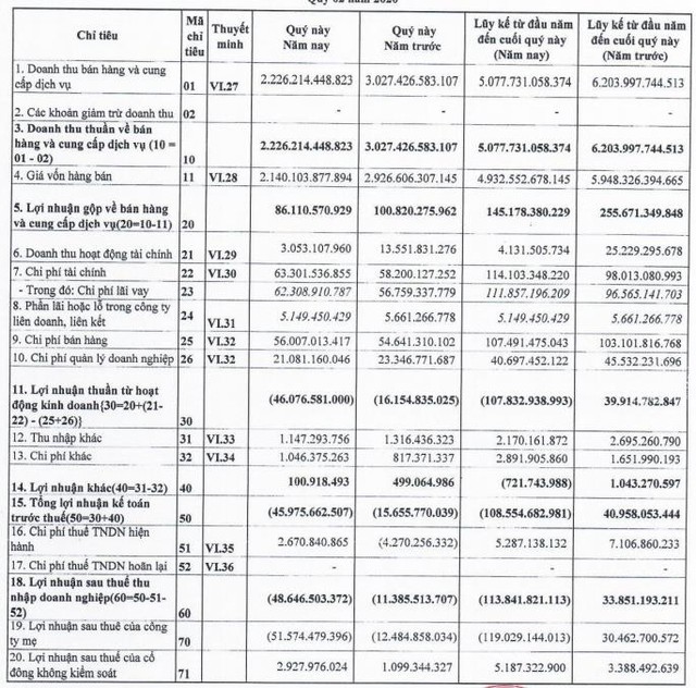 Thanh Lễ (TLP): Quý 2 báo lỗ thêm 48 tỷ đồng - Ảnh 1.
