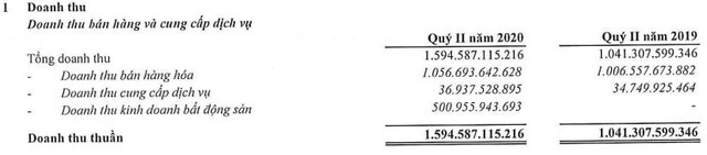 Hanic (SHN): Quý 2 lãi 118 tỷ đồng cao gấp 4 lần cùng kỳ - Ảnh 1.